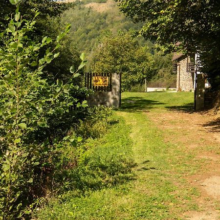 Casa Valea Prejbei Villa Rau Sadului Екстериор снимка