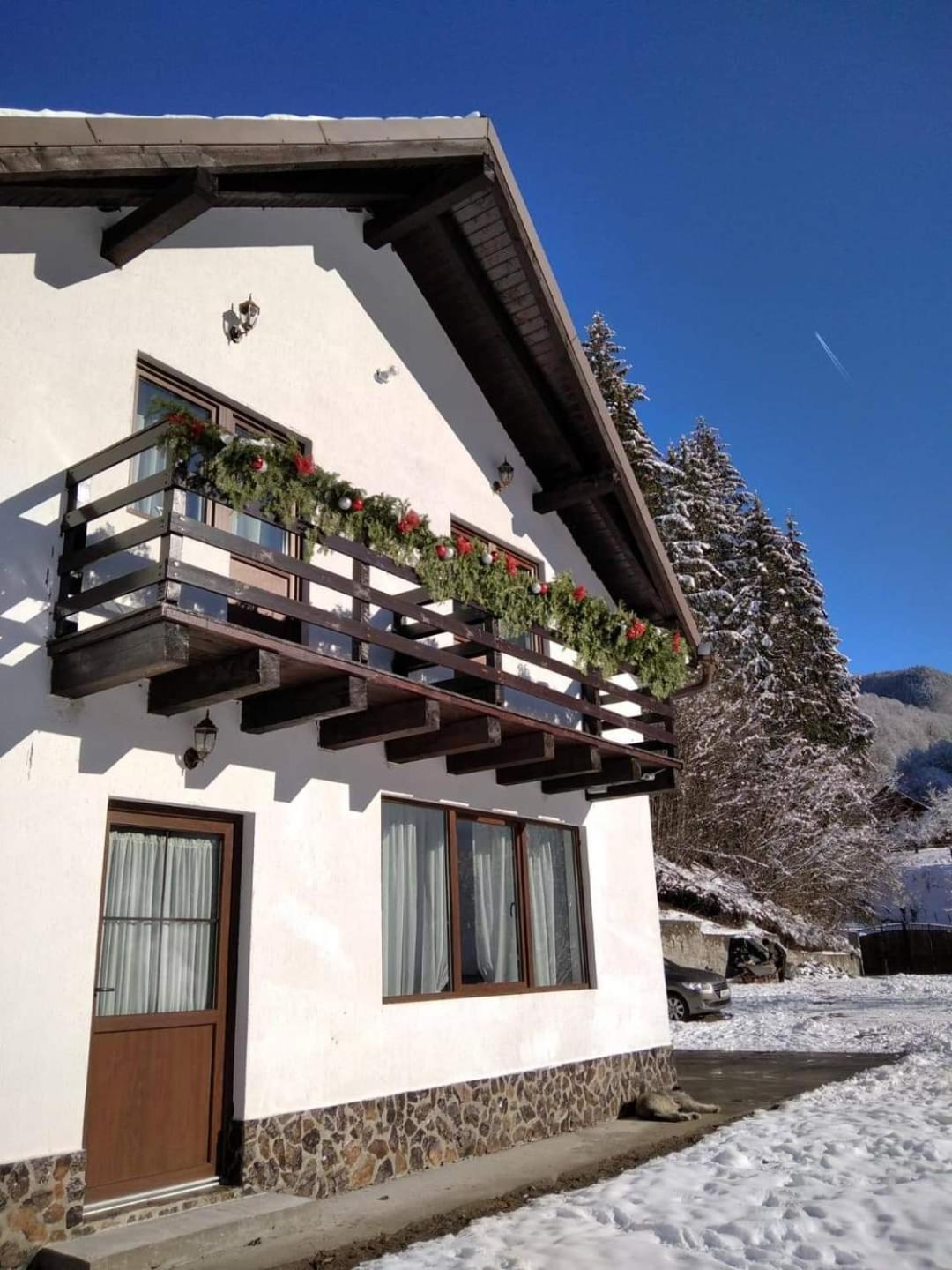 Casa Valea Prejbei Villa Rau Sadului Екстериор снимка