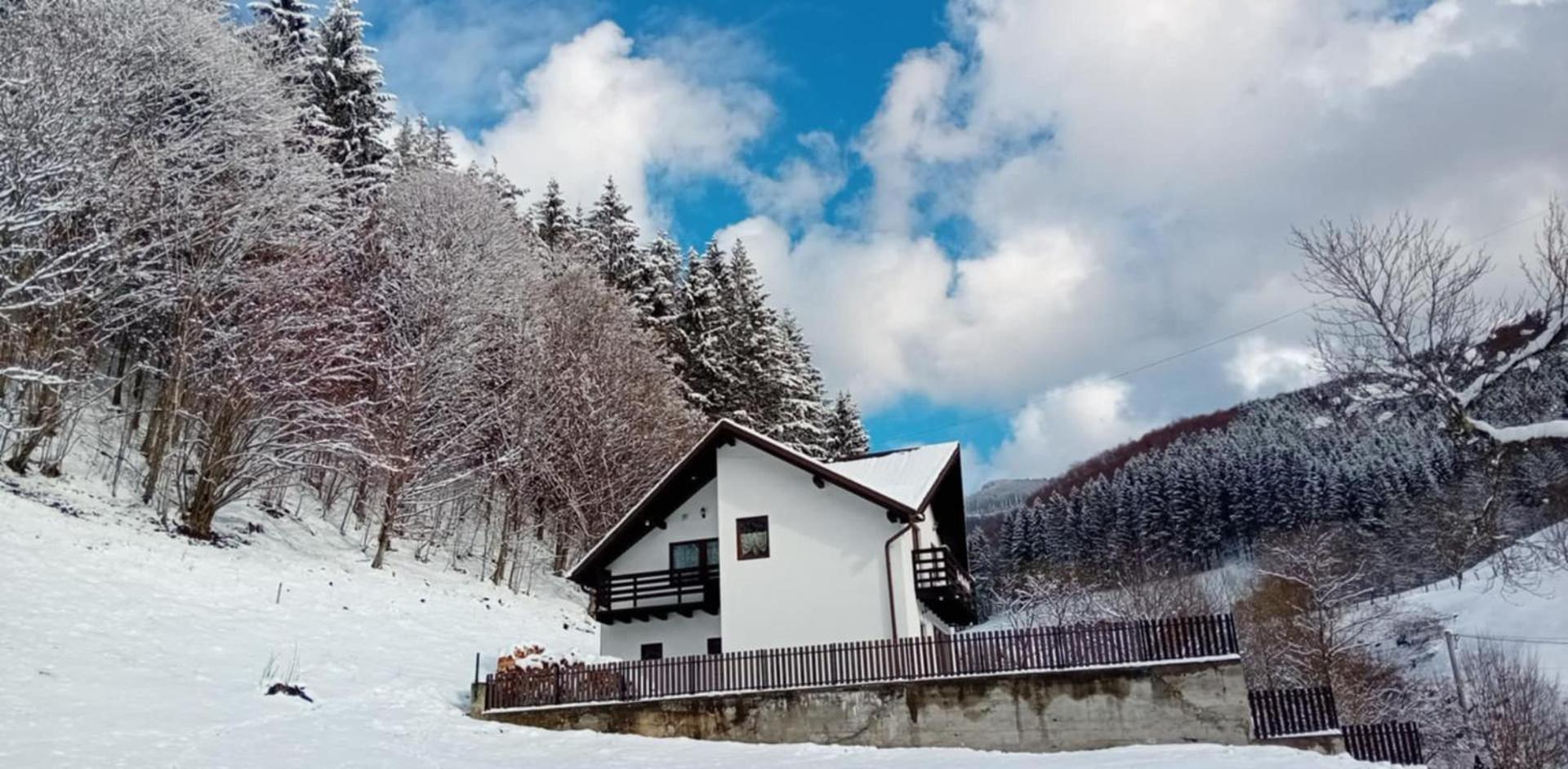 Casa Valea Prejbei Villa Rau Sadului Екстериор снимка